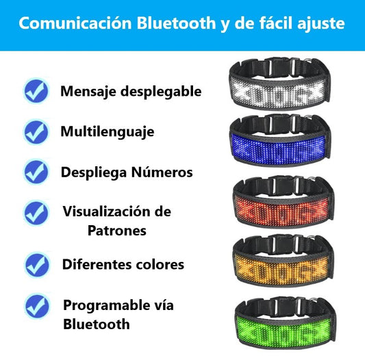 1 collar para perro con pantalla LED programable con Bluetooth, resistente al agua, ajustable